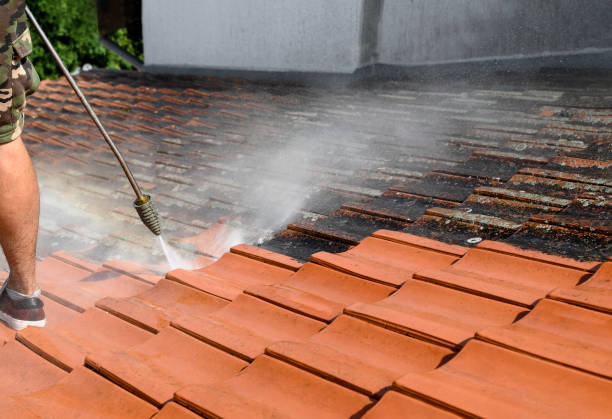Best Roof Power Washing Services  in Mangonia Park, FL