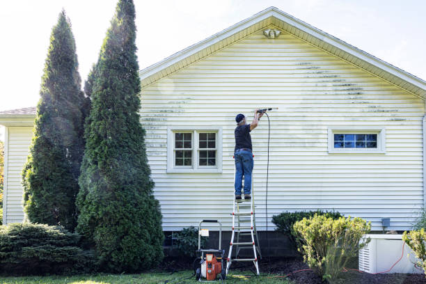 Mangonia Park, FL Pressure Washing Company