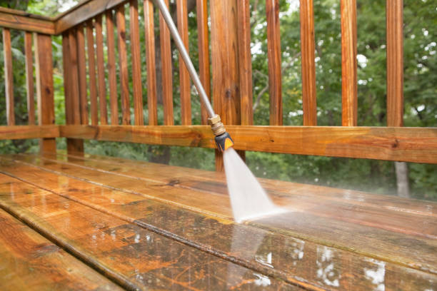 Best Deck Pressure Washing  in Mangonia Park, FL