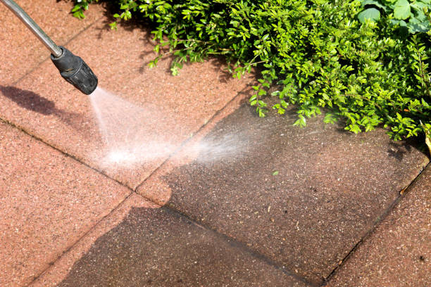 Best Sidewalk Pressure Washing  in Mangonia Park, FL