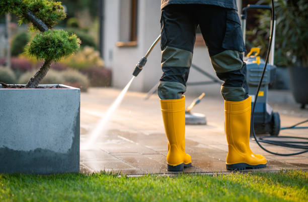 Best Local Pressure Washing Services  in Mangonia Park, FL